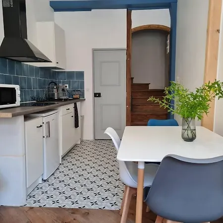 Apartment Triplex Avec Vue Sur Place Du Centre Historique. Foix